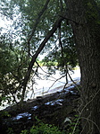 DSC00076