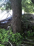 DSC00075