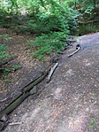 DSC03127