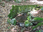 DSC03524