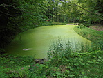 DSC03555