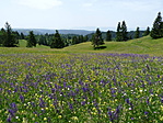 P1350906