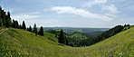 P1350911_stitch