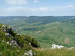 P1350520