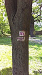 IMAG0023
