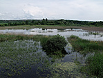 DSCF0128