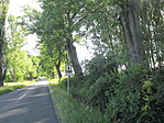 IMG_0290