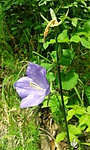 20160611_140808