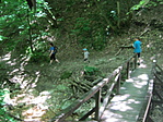 IMG_9133