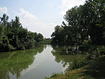 J03_9942