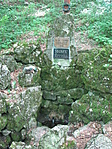 J10_9956