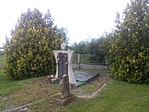 CAM00021