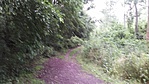 20160604_164031