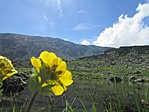 IMG_5940