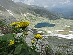 IMG_5966