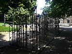 IMG_6597