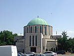 IMG_6556