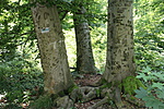 Nem ismerik a geocachinget...