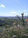 20160617_121850