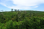 DSC02968