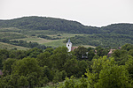 IMG_3204_m