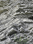 P6190420