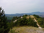 DSC07000