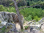 DSC07006