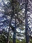 DSC07019