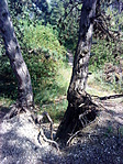 DSC07024