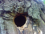 DSC07031