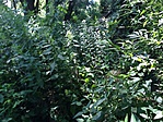 20160629_091413936_iOS