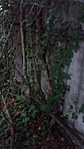20160601_191006