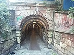 GCalul_20160624065728.jpg