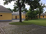 IMG_5919