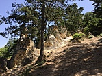 IMG_6025