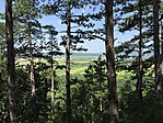 IMG_6026