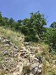 IMG_6028