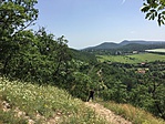 IMG_6030
