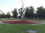 IMG_6055