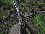 P7130191
