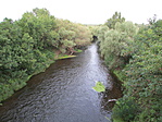 Zagyva