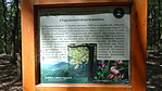DSC01165