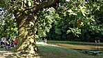 2016-07-08 17.38.29R