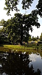 2016-07-08 17.41.56R