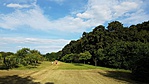2016-07-08 17.44.53R