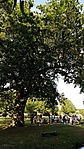 2016-07-08 17.39.41R