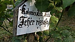 2016-07-08 17.37.48R