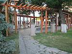 IMG_4011