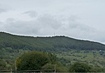 IMG_5117